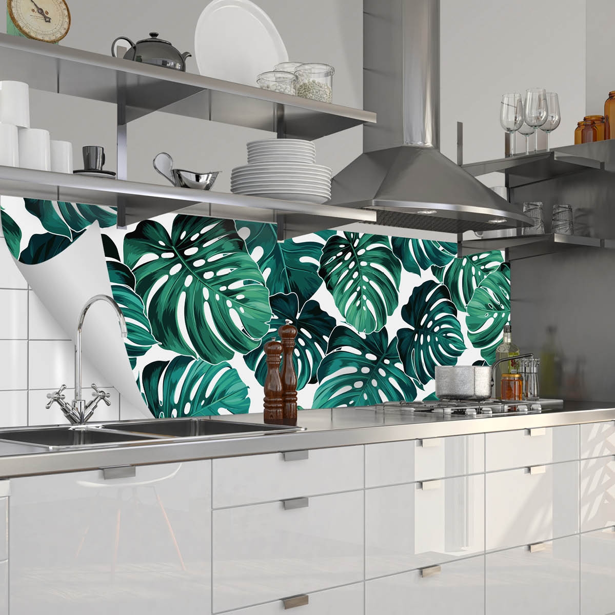 Fixy Monstera