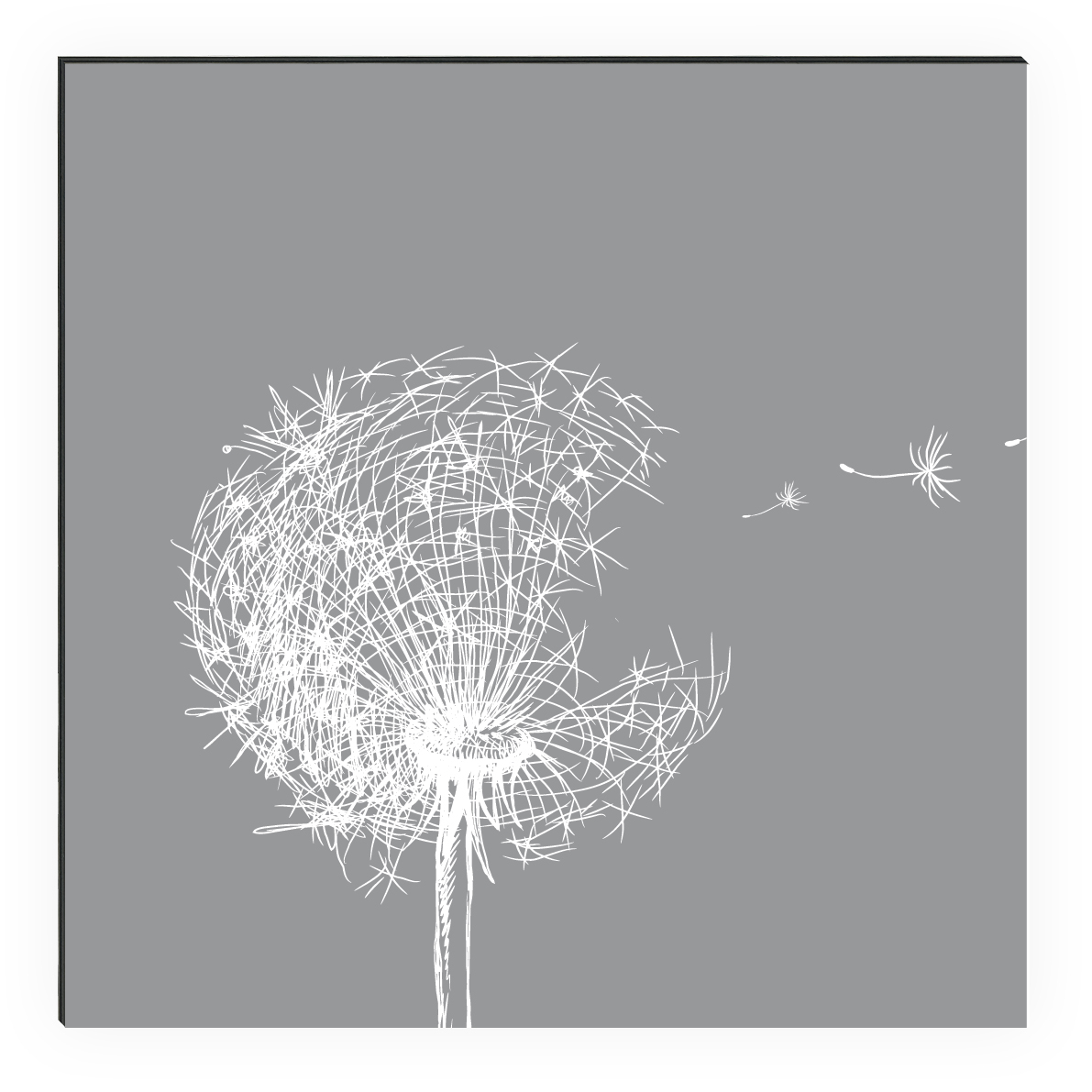 Kitchen Panel Pusteblume Grafik