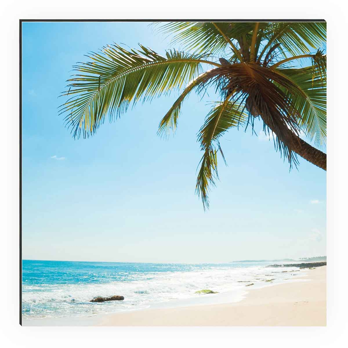 Shower Beach