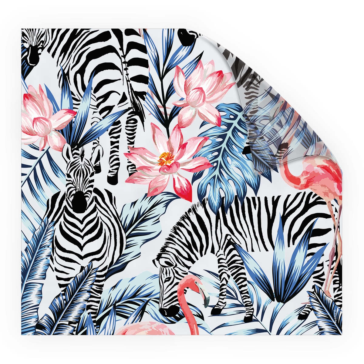 Look Tropical Zebras