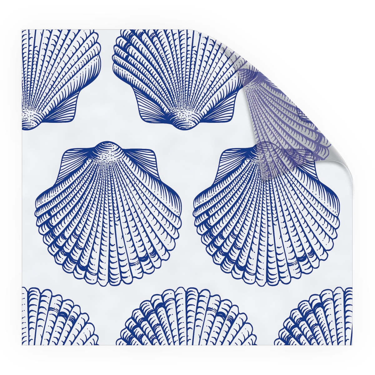 Look Shells Blue