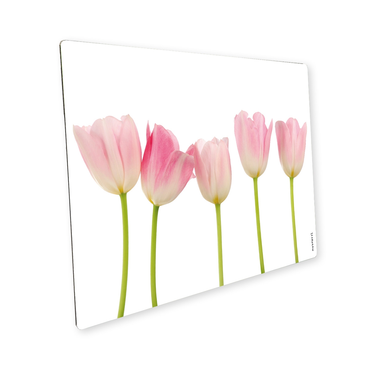 Pop Tulpen