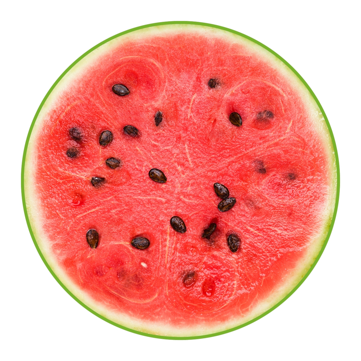 Toby Sandia rund