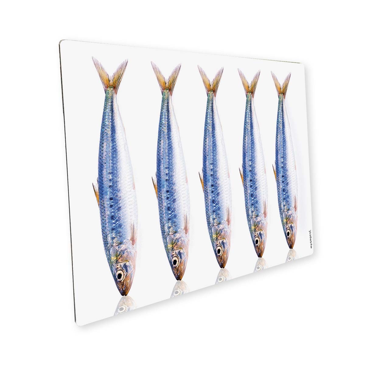 Pop Fische