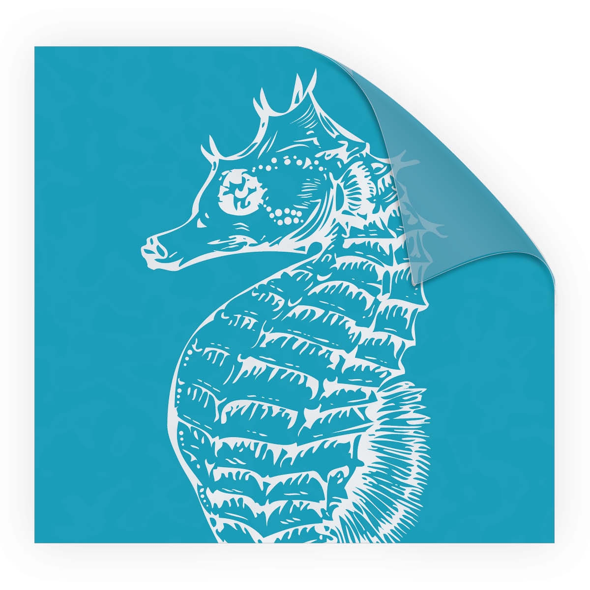 Look Seahorse Turquoise jetzt online kaufen, mySPOTTi